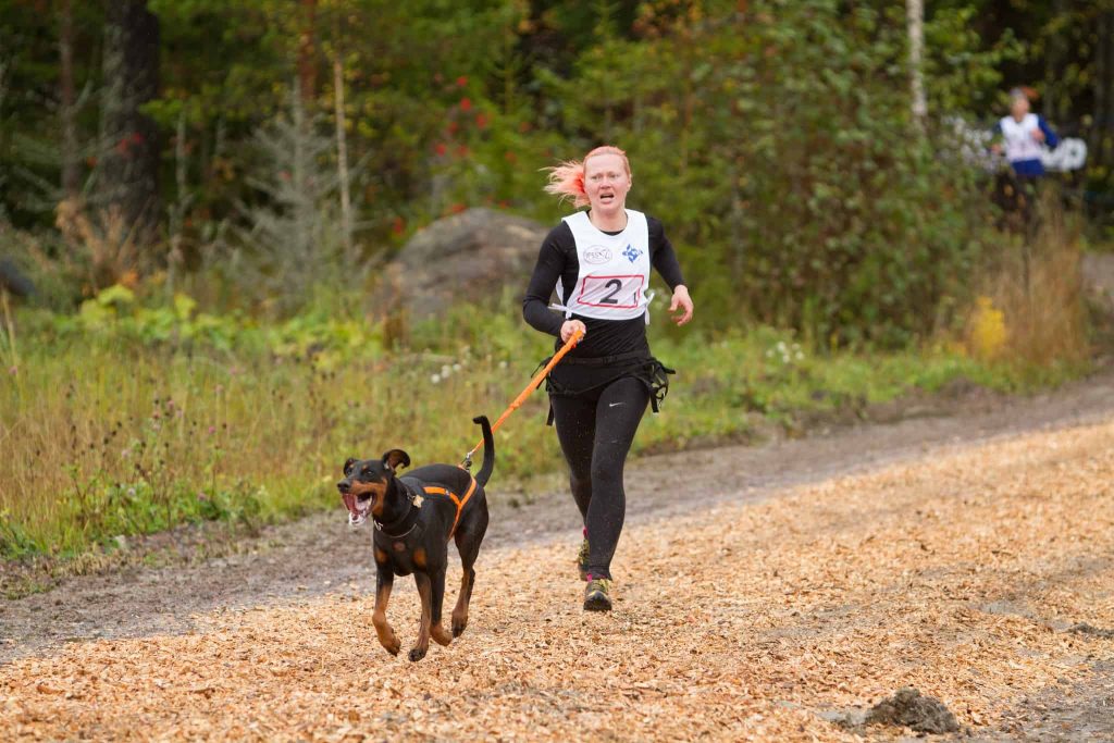Things to keep in mind while using a dog's jogging leash